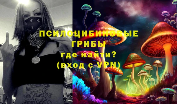прущий лед Богородицк