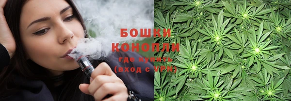 твердый Сосновый Бор
