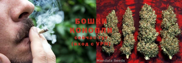 прущий лед Богородицк