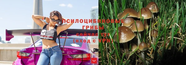 наркотики Богданович